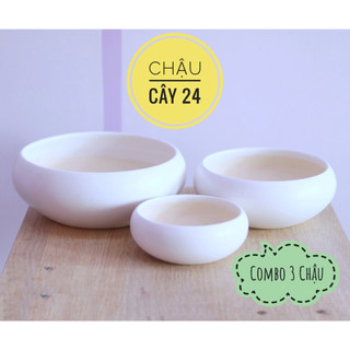 Chậu Sứ Ang (COMBO 3 CHẬU) Trồng cây Sen Đá, Xương Rồng, Terrarium, cây cảnh để bàn