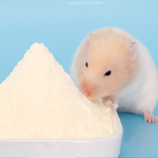 Bột sữa dê JESSIE dành cho hamster