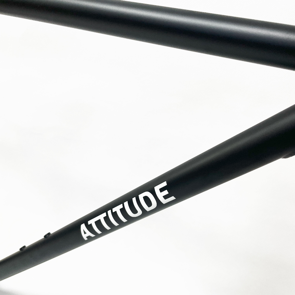 Khung xe đạp Fixed Gear Song & Friend ATTITUDE