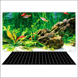 Tranh 3d decal có sẵn keo, tranh dán bể cá thủy sinh, bể cá rồng