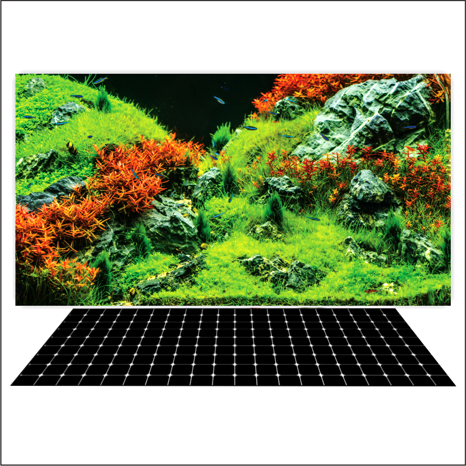 Tranh 3d Decal có sẵn keo, Tranh Dán Bể Cá Thủy Sinh, Bể Cá Rồng (Tranh Dán Lưng)