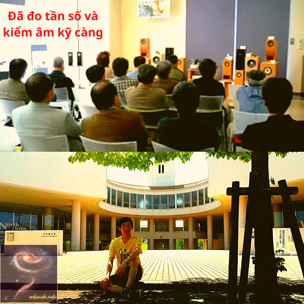 Thùng loa DIY ma trận toàn dải 8inch