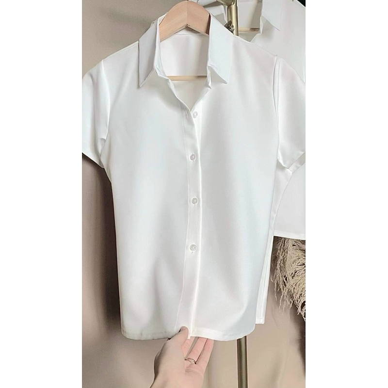 Áo sơ mi trắng tay ngắn , áo sơ mi nữ công sở