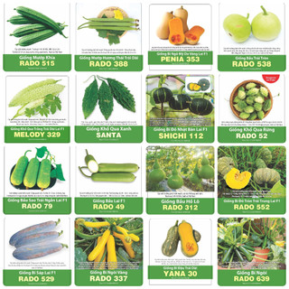 Hạt giống Bầu, Bí, Mướp, Khổ qua, Bí bầu ăn ngọn nẩy mầm tốt, trồng chậu thùng xốp | Hạt giống Rạng Đông