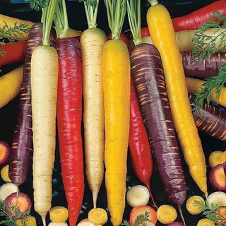 Hạt giống cà rốt cầu vồng ( cà rốt mix) 5 gram