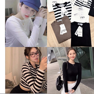 Áo len giấy trơn zr crtop dài tay