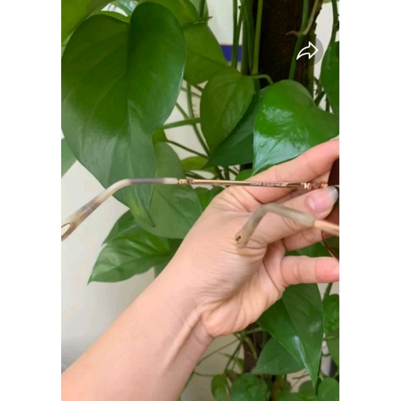 Kính Auth Ch loe hàng si tuyển