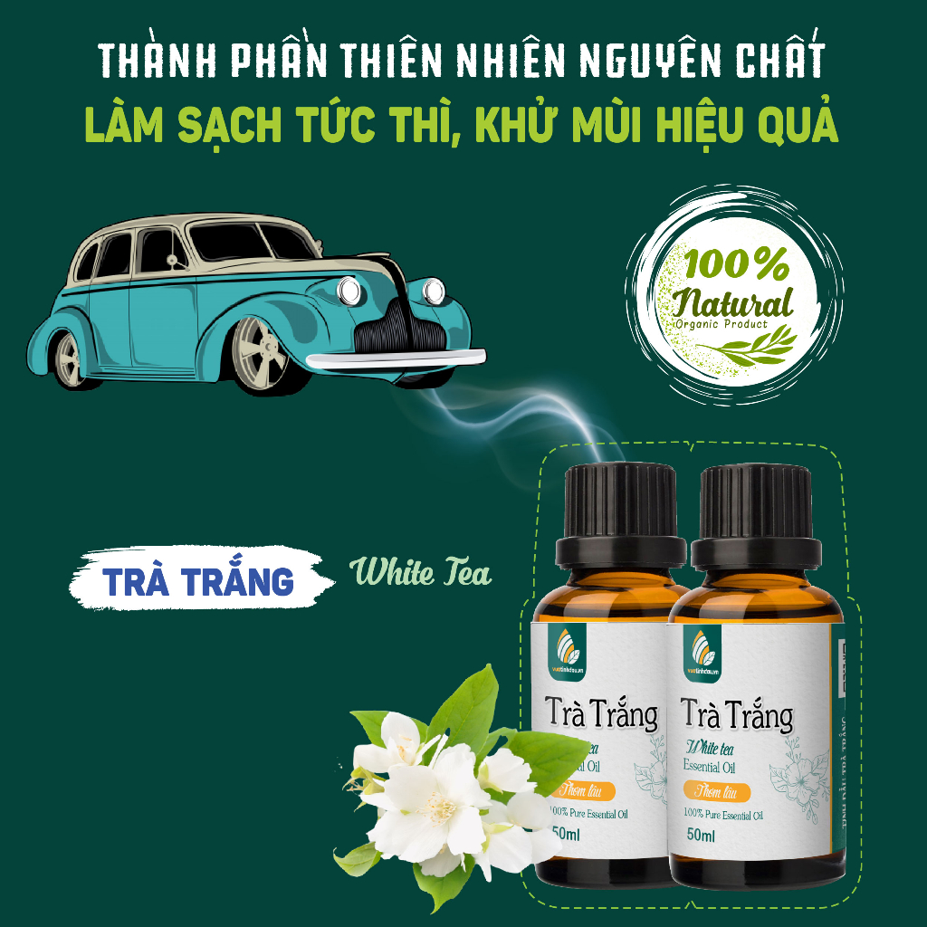 Tinh Dầu Trà Trắng Nguyên Chất Thơm Phòng Thơm Xe 10ml/30ml/50ml VUATINHDAU Tinh Dầu Thơm Quần Áo,Treo Xe Ô Tô