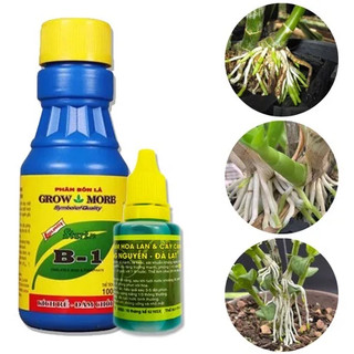 Bộ đôi kích rễ nhanh và mạnh cho Phong Lan, hoa cảnh (100ml Vitamin B1 Growmore, 20ml Hùng Nguyễn)