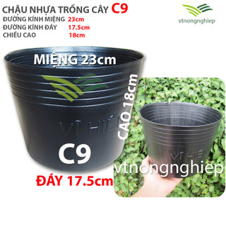 50 Chậu nhựa đen C9, Miệng 23cm, đáy 17cm, Cao 18cm, hiệu Vĩ Hiền, chậu nhựa trồng cây mềm, dẻo, kích thước chuẩn