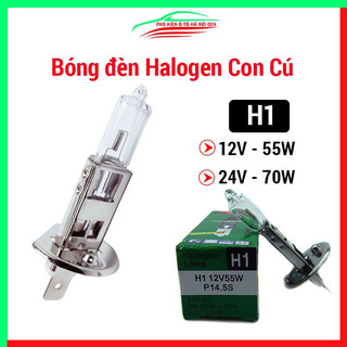 Bóng đèn Halogen con cú H1 hai loại 12V/ 24V