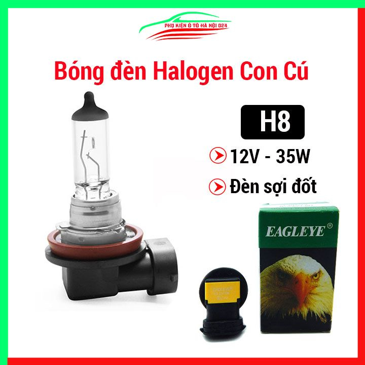 Bóng đèn Halogen con cú H8 12V 35W