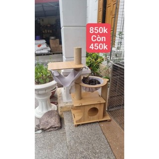 Catrre cho mèo, nhà gỗ cho mèo