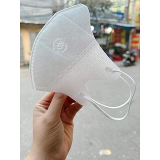 THÙNG 100C KHẨU TRANG 5D HOÀNG ANH