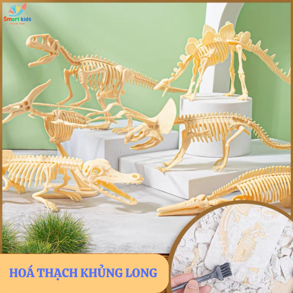 Đồ Chơi Khai Quật Hoá Thạch Khủng Long Cho Bé Nhập Vai Nhà Khảo Cổ Học Giúp Rèn Luyện Tính Kiên Nhẫn, Tỉ Mỉ