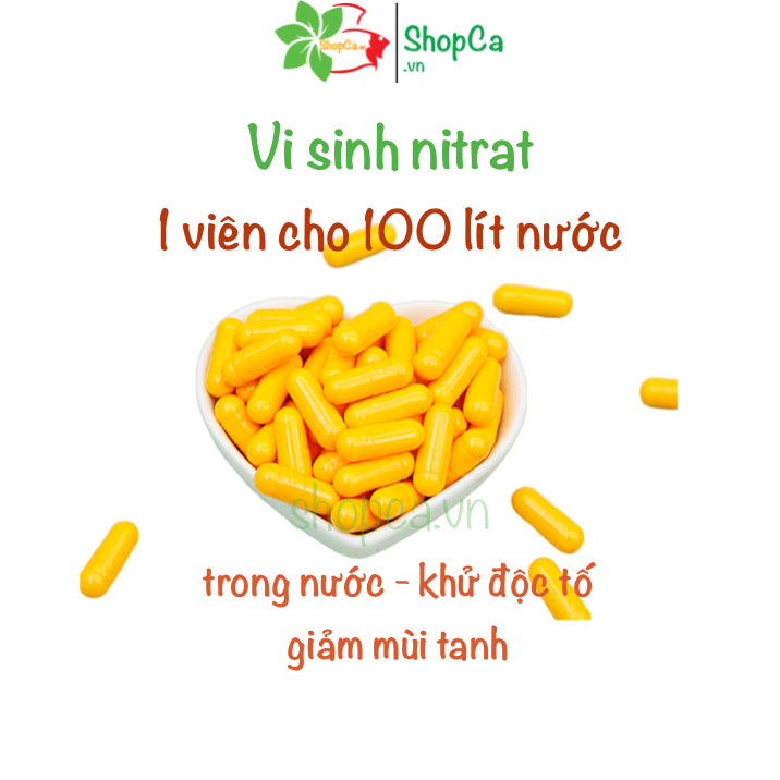 Combo khởi tạo bể cá mới Shopca Startup, Viên khử nước mới cho bể cá, khử clo nước máy cho hồ, viên vi sinh nitrat