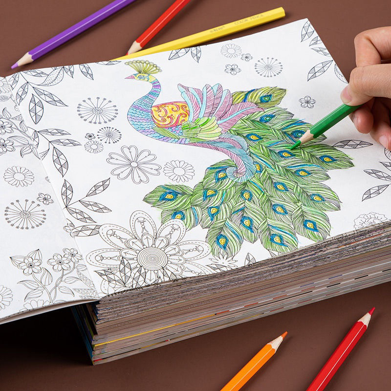 Tranh tô màu siêu đẹp gồm 8 mẫu 24 trang dành cho bé