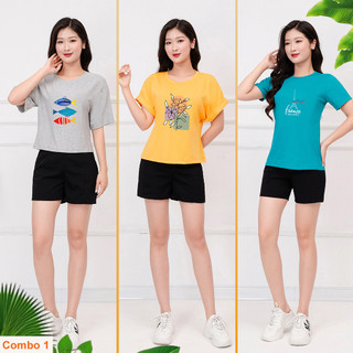 Combo 3 áo phông nữ cotton mềm mịn nhiều kiểu dáng, chất co giãn mặc mát - Thời Trang Fam