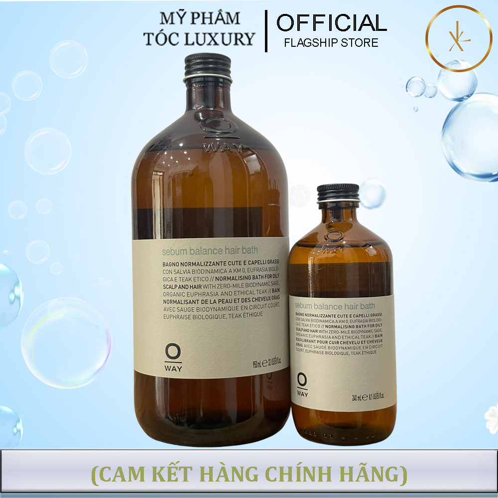 Dầu Gội Cân Bằng Độ Ẩm Da Đầu Nhờn SEBUM BALANCE HAIR BATH 240ML - 950ML