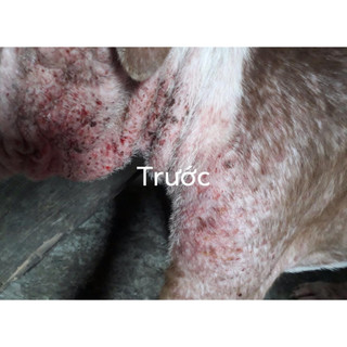 Thuốc xịt Ghẻ,Nấm ,Ve Rận dành cho cún
