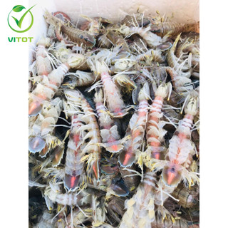 [HỎA TỐC] Bề Bề Trứng Hấp Sơ VITOT Thơm Ngon Nhiều Trứng