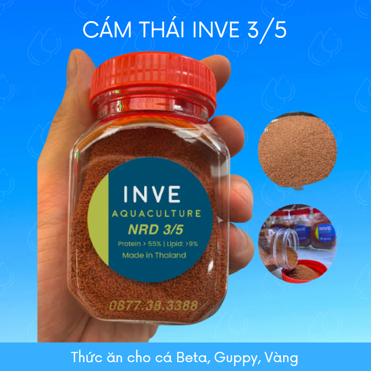 Cám Thái Inve NRD 3/5 Thức ăn cho cá Beta, Bảy màu, Guppy, Vàng [INVE 3/5]