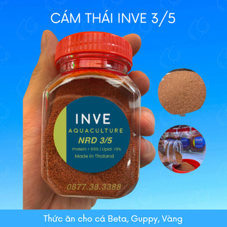 Cám thái inve nrd 3/5 thức ăn cho cá beta, bảy màu, guppy, vàng