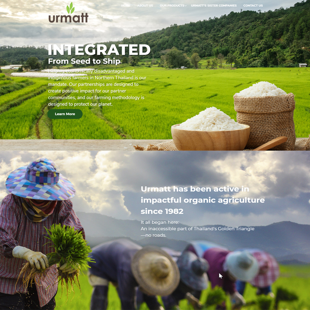 Bánh quy gạo hữu cơ vị Phô mai - Chua cay - BBQ 100gr -