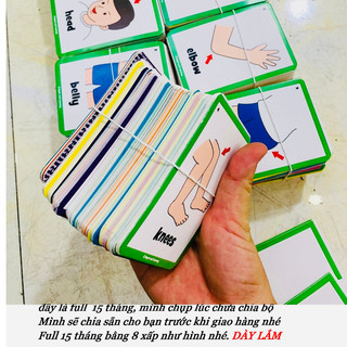 THẺ FLASHCARD FED fed