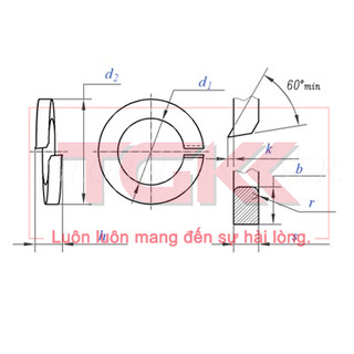 Long đen vênh mạ kẽm (M18-M30) (Túi 10)