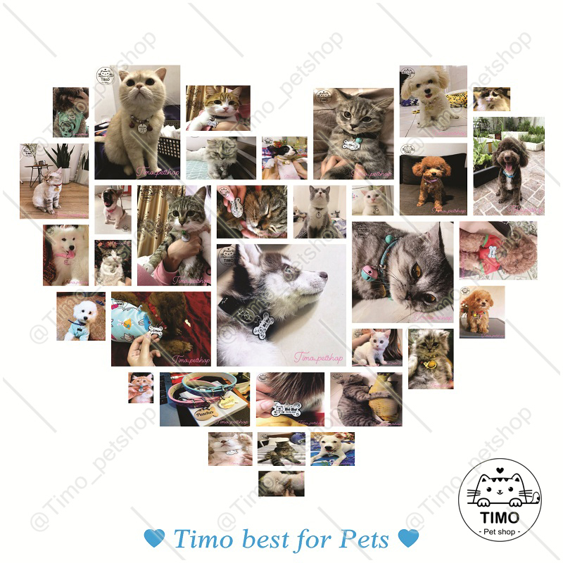 Vòng cổ chó mèo, thú cưng - Dây charm