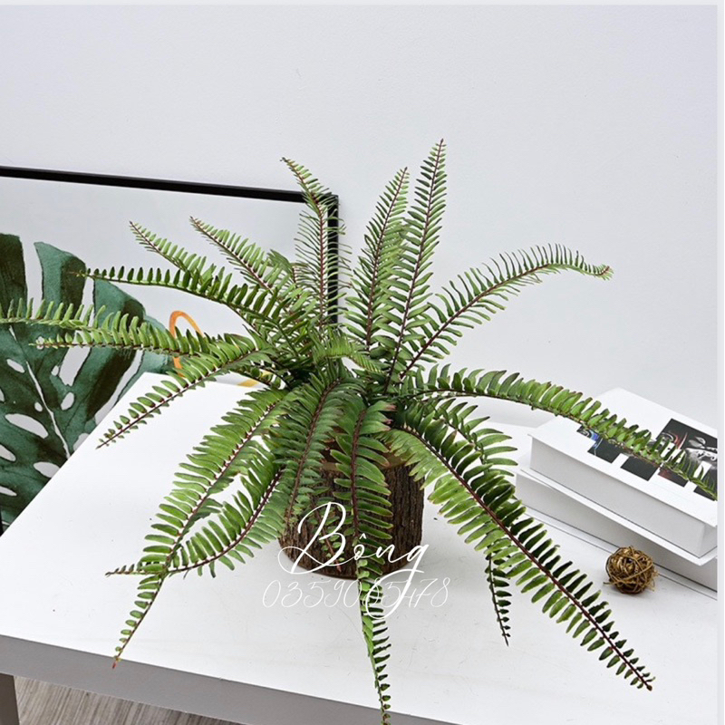 Cây giả - cây dương xỉ giả dương xỉ cổ đại size 45cm và 60cm hàng cao cấp siêu đẹp