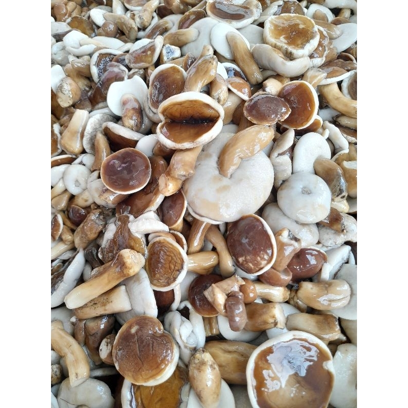 Nấm tràm hỏa tốc hcm 500g