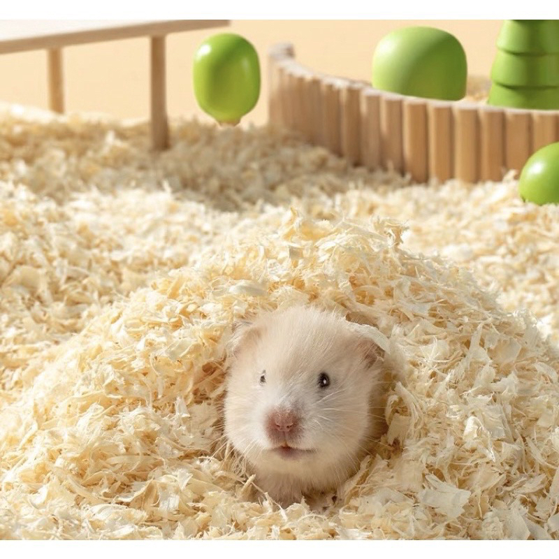 Mùn cưa chuột hamter