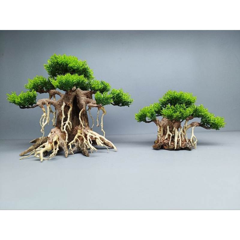 Cây gỗ lũa Bonsai tán Tùng cho hồ nhỏ ]
