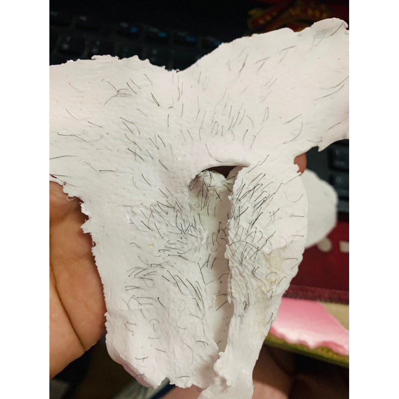 Sáp Wax Lông Nóng Mix Dòng Sáp  Sữa Dừa Premium Siêu Bám Lông Tơ,Mỏng,Ngắn,Cứng thích hợp cho mọi loại da