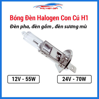 Bóng đèn Halogen con cú H1 lắp đèn pha,đèn gầm,đèn xương mù cho ô tô hai loại 12V/ 24V