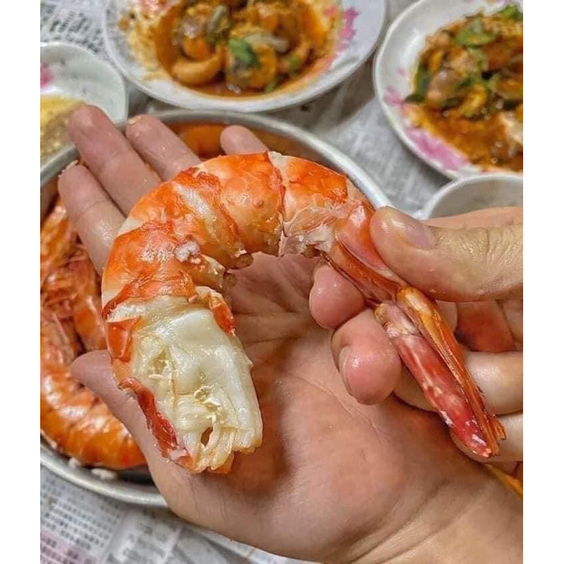 tôm sú hộp đông lạnh size 15
