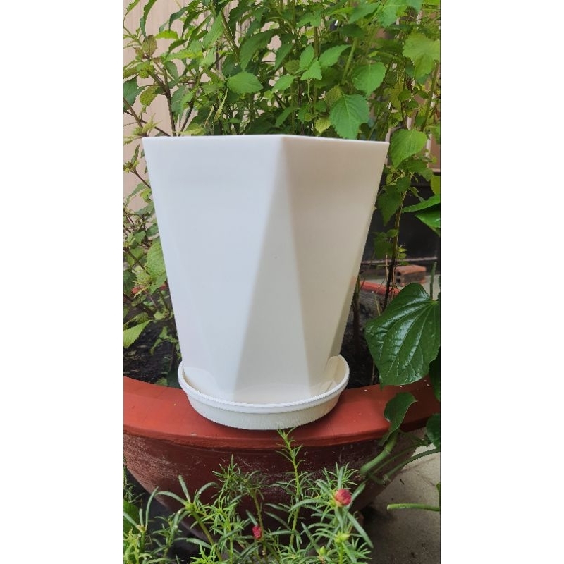 chậu lục giác kèm dĩa lót 17x20cm trồng cây trang trí