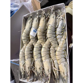 tôm sú hộp đông lạnh size 18