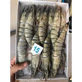tôm sú hộp đông lạnh size 15