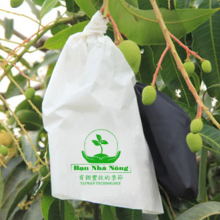 TÚI GIẤY BỌC XOÀI CHỐNG SÂU BỌ ĐÀI LOAN  1 LỚP, 2 LỚP, 28-32CM, CÓ GẤP HÔNG 4-5CM