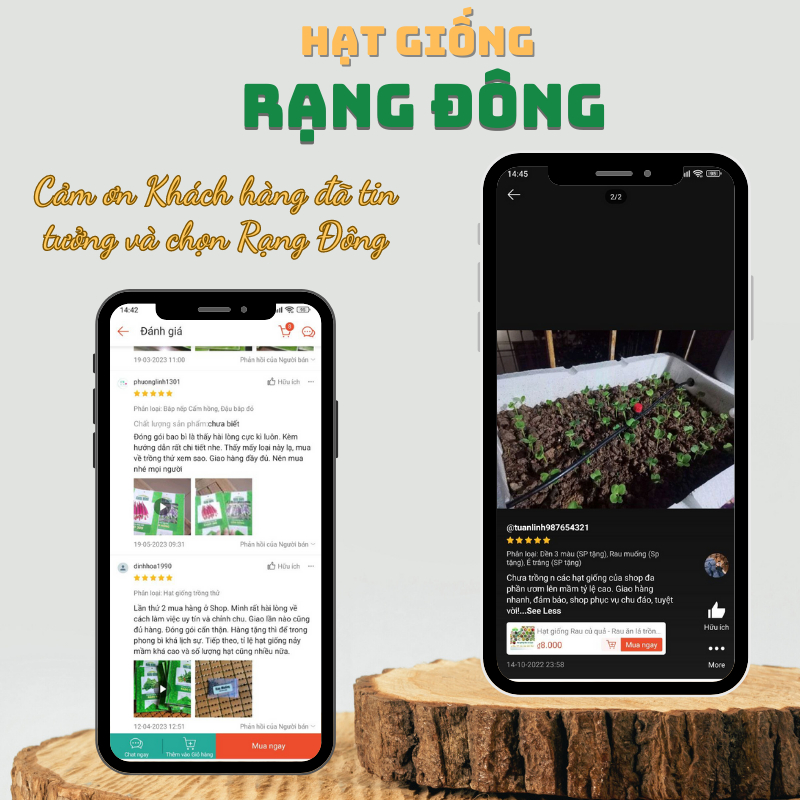 Phân Bò Hữu Cơ LAVAMIX - Phân Bón Hữu Cơ Bò Lavamix Tiện Lợi, Không Mùi Hôi  - Hạt giống Rạng Đông