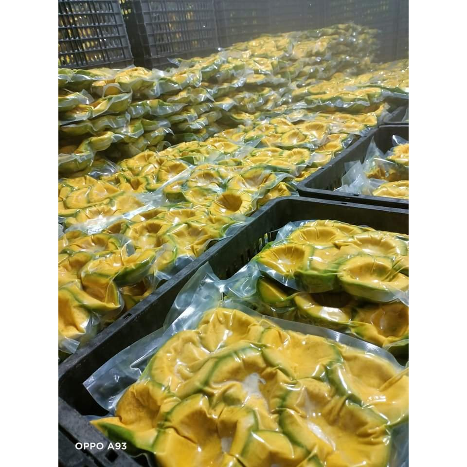 Bơ đông lạnh - Bơ booth đông lạnh - làm sinh tố bơ,kem bơ -1kg -