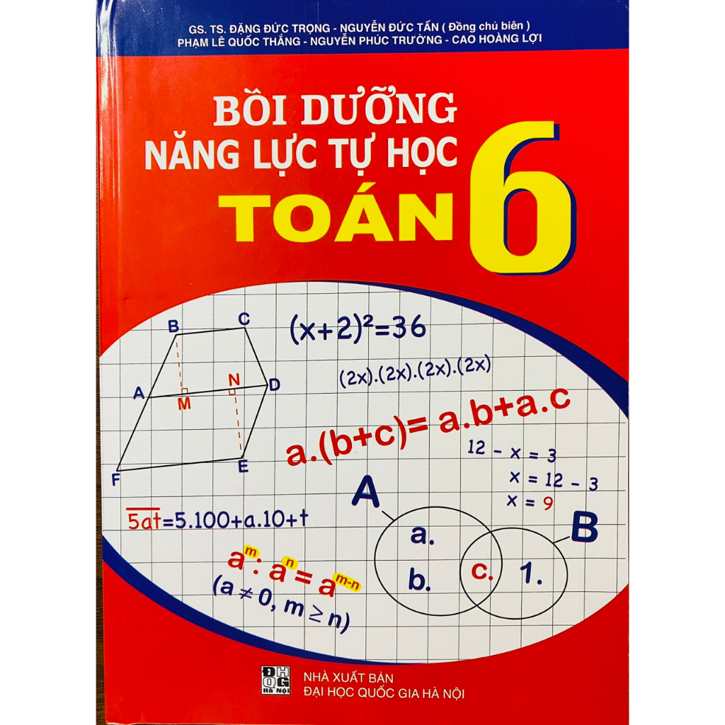 Sách - Bồi dưỡng năng lực tự học Toán 6