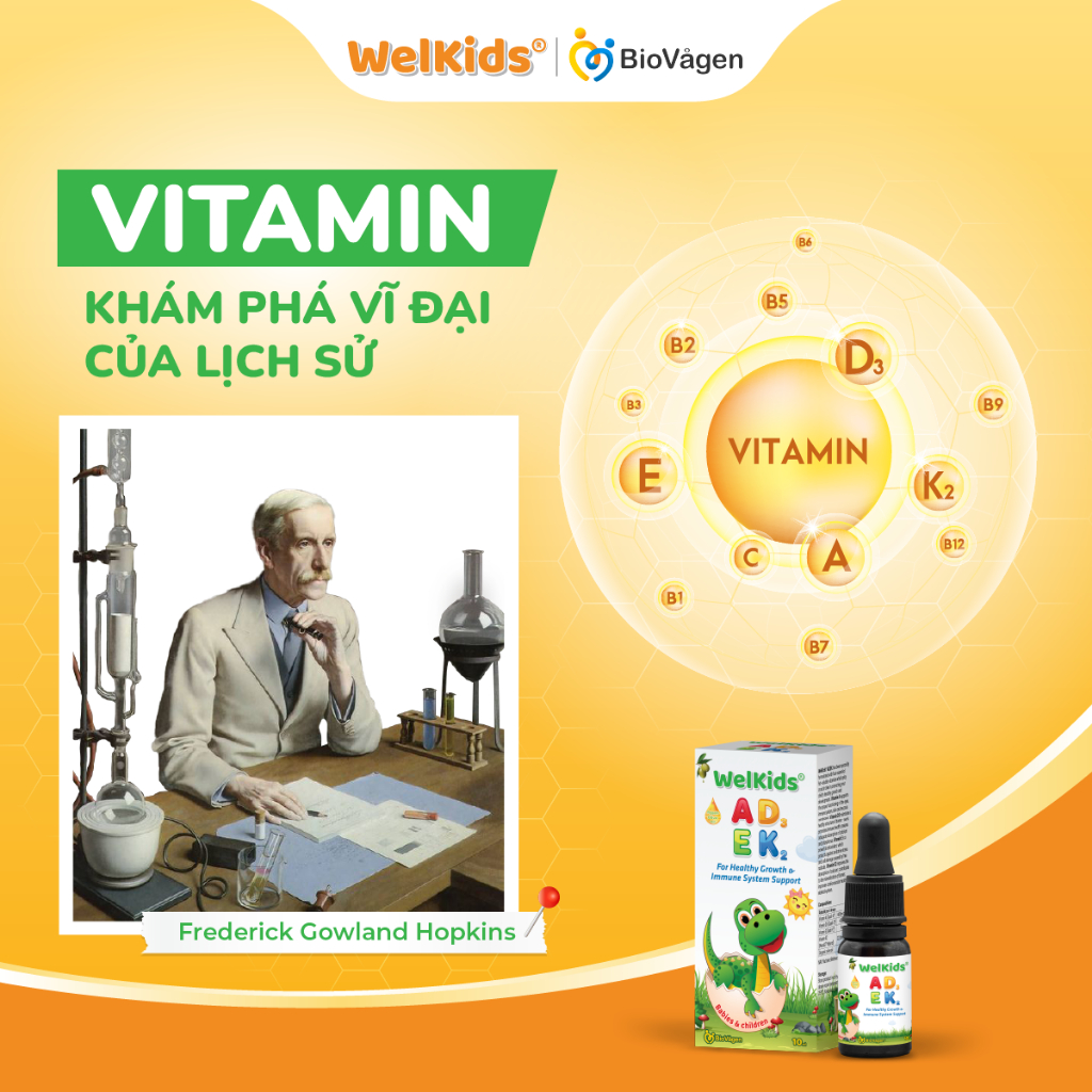 WelKids ADEK tinh khiết bổ sung vitamin A,E và D3 K2 MK7 tan trong dầu olive hữu cơ tăng chiều cao cho bé dung tích 10ml
