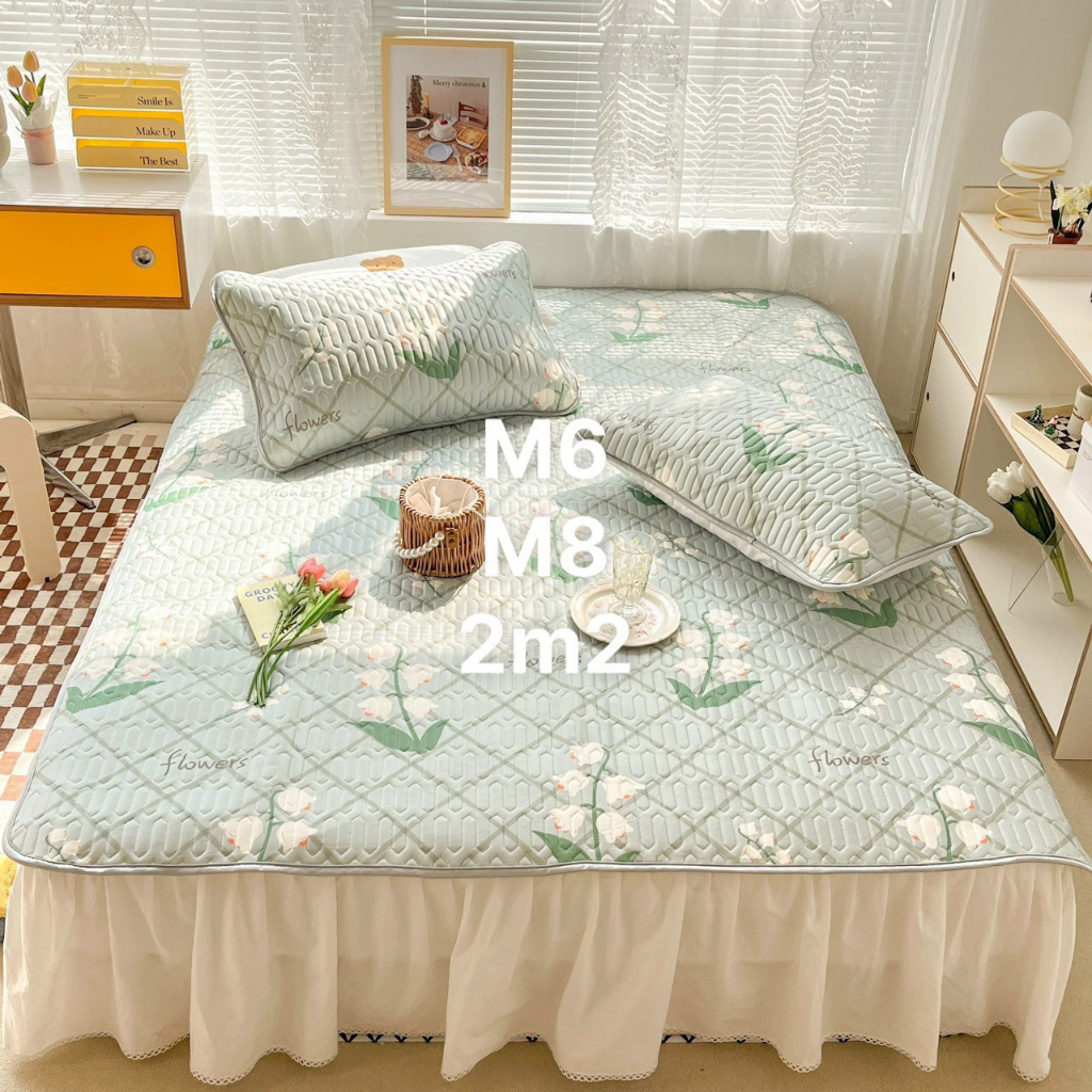 Chiếu điều hòa sao su non in hình 3D, 5D dễ thương tăng kèm 2 vỏ gối đầu