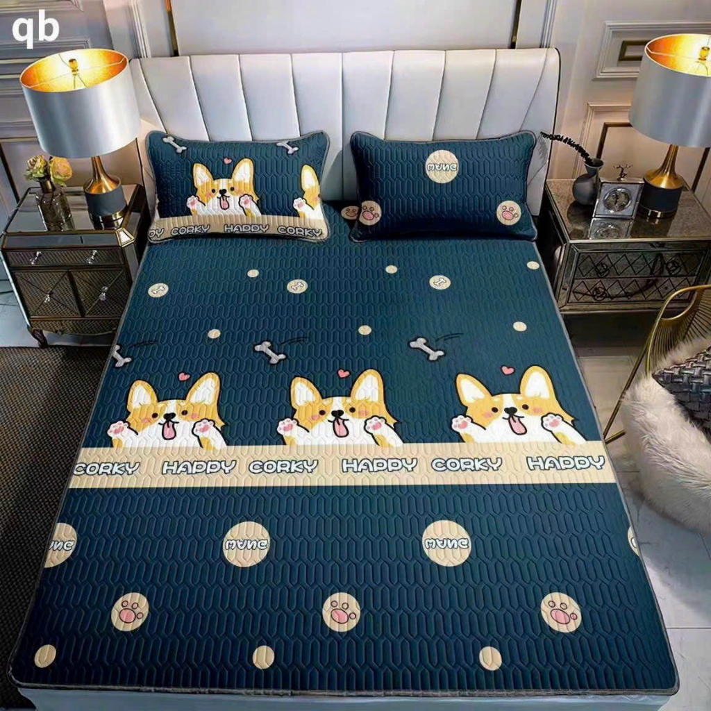 Chiếu điều hòa sao su non in hình 3D, 5D dễ thương tăng kèm 2 vỏ gối đầu