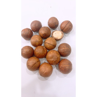 500g hạt macca sấy nứt vỏ loại 1