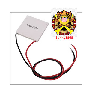 Sò Nóng Lạnh TEC1-12706  40*40mm